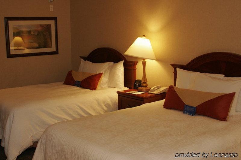Hilton Garden Inn West Edmonton Rum bild